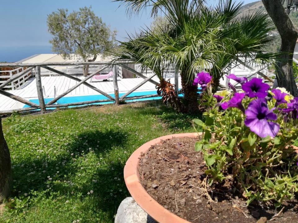 Il Casale Del Golfo Apartment Вико Екуензе Екстериор снимка